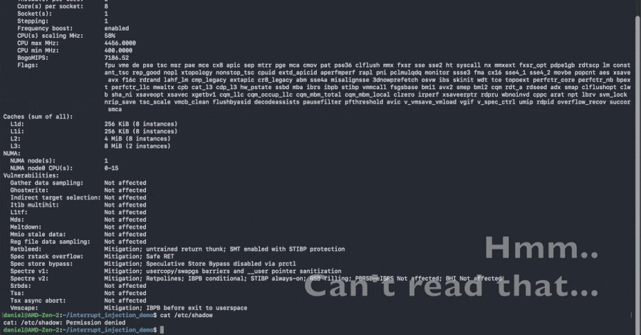 Interrupt Injection exposes a gap in Spectre v2 protections on Linux
