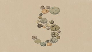 Anthropic predstavila Opus 5: jači, jeftiniji i sa manje ograničenja