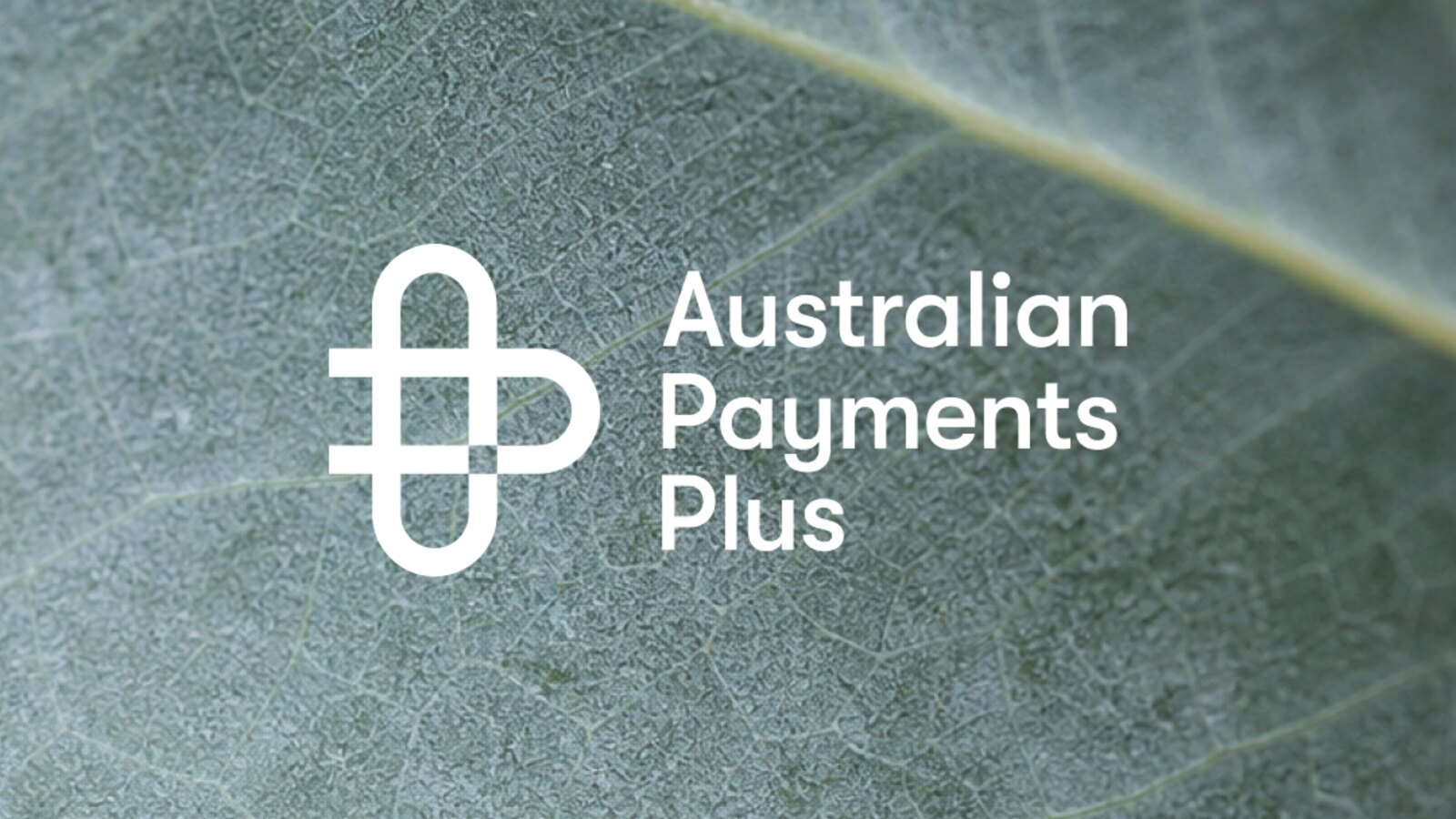 Kako Australian Payments Plus ubrzava rad uz ChatGPT Enterprise i Codex