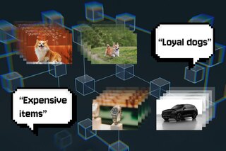 WRING: How MIT Tackles the 'Whac‑A‑Mole' Effect in Visual Models