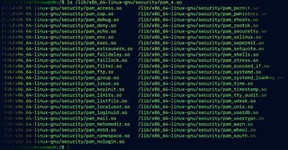 PamDOORa: PAM‑modul koji krade SSH akreditive i obezbeđuje skriveni pristup