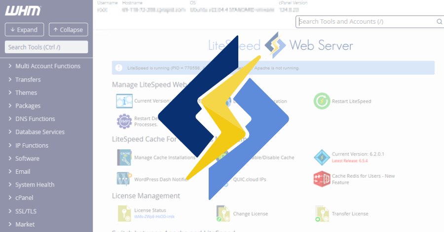 CVE-2026-48172 в плагине LiteSpeed для cPanel: эксплуатируется для запуска скриптов от root