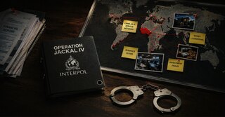 INTERPOL задержал 58 человек в операции Jackal IV против онлайн-мошенничества