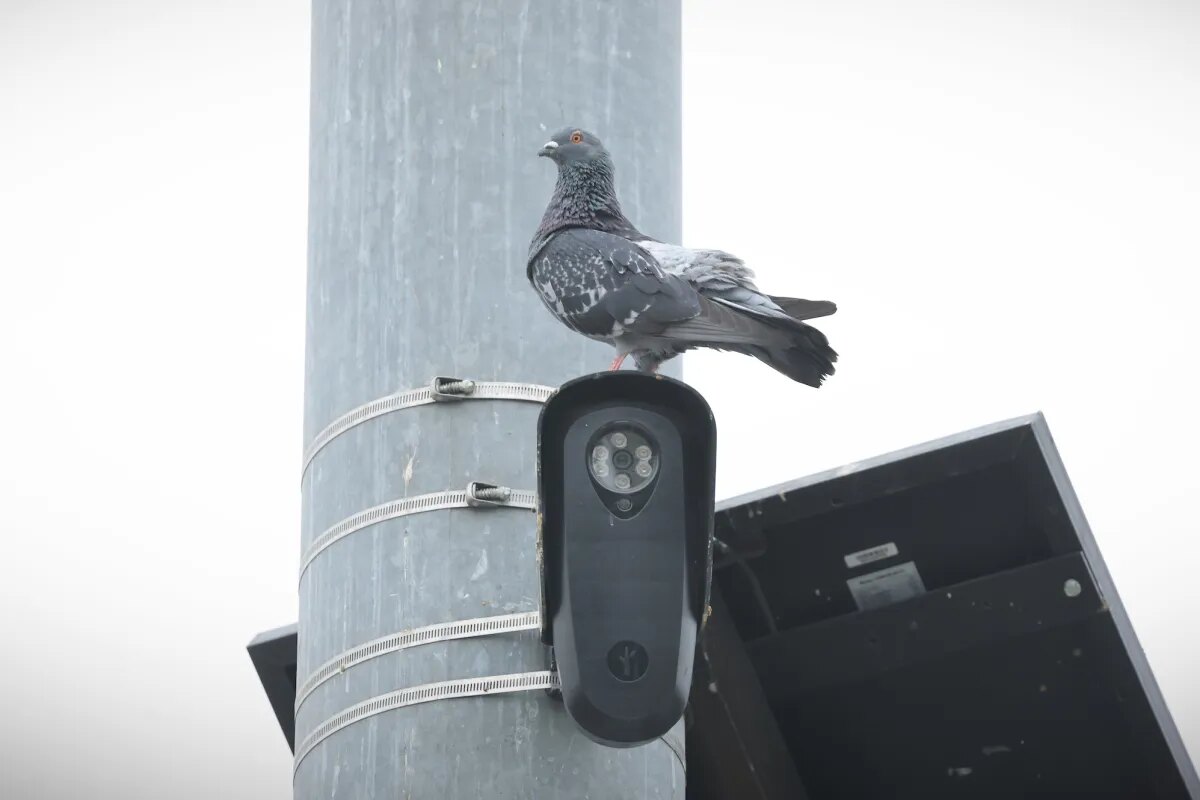 Флорида и Техас ограничивают использование камер Flock Safety