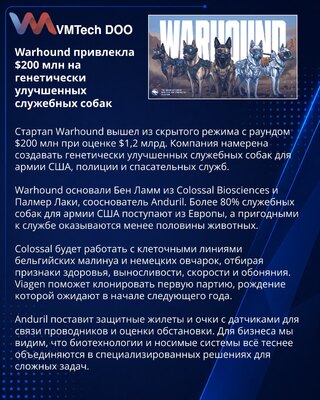Warhound получила $200 млн на создание служебных собак для армии США