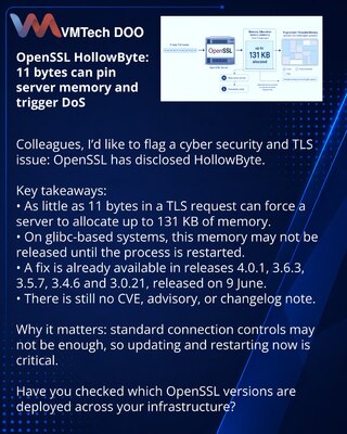 OpenSSL HollowByte: 11 bytes can pin server memory and trigger DoS