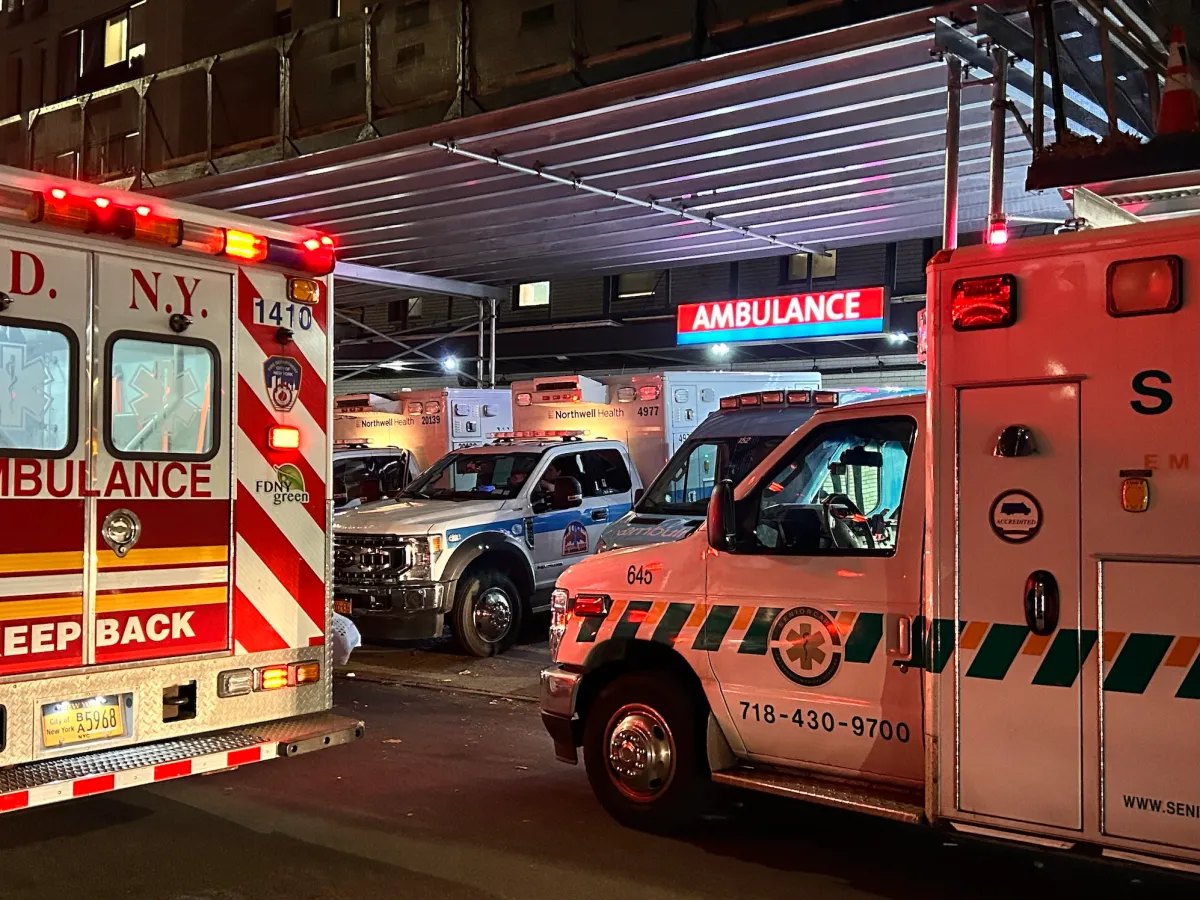 NYC Health + Hospitals: medical data and fingerprints of at least 1.8M people stolen