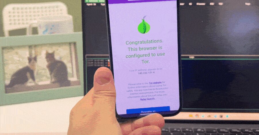 Jedna zlonamerna stranica može da kompromituje Firefox i Tor Browser