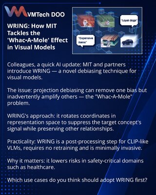 WRING: How MIT Tackles the 'Whac‑A‑Mole' Effect in Visual Models